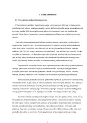 Vaikų užimtumo problema 4 puslapis