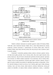 Pagrindiniai savikainos kalkuliavimo metodai (sistemos) 13 puslapis