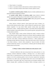 Pagrindiniai savikainos kalkuliavimo metodai (sistemos) 18 puslapis