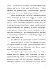Pagrindiniai savikainos kalkuliavimo metodai (sistemos) 19 puslapis