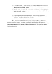 Pagrindiniai savikainos kalkuliavimo metodai (sistemos) 3 puslapis