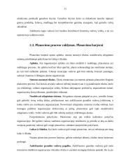 Valdymo funkcijos, jų samprata ir svarba 11 puslapis