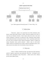 Valdymo funkcijų analizė 14 puslapis
