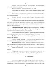 Valdymo funkcijų analizė 15 puslapis