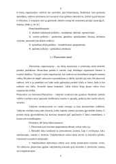 Valdymo funkcijų analizė 6 puslapis