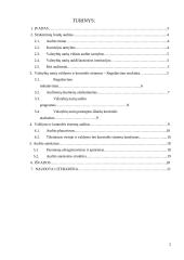 Valdymo ir kontrolės sistemų auditas 2 puslapis