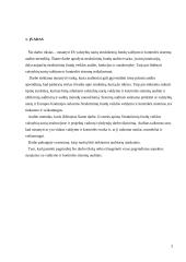 Valdymo ir kontrolės sistemų auditas 3 puslapis