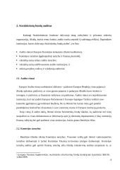 Valdymo ir kontrolės sistemų auditas 4 puslapis
