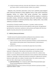 Valdymo ir kontrolės sistemų auditas 7 puslapis
