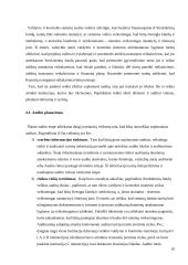 Valdymo ir kontrolės sistemų auditas 10 puslapis