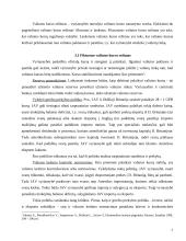 Valiutų kursų įtaka tarptautinei prekybai 7 puslapis