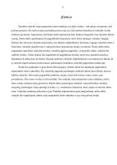 Valstybė kaip viešosios tarptautinės teisės subjektas 2 puslapis