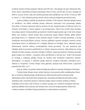 Valstybės biudžeto formavimas ir panaudojimas 19 puslapis