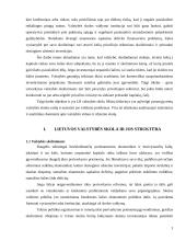 Valstybės skola ir jos raida 3 puslapis
