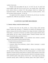 Valstybės skola ir jos raida 7 puslapis