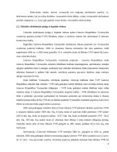 Valstybės skola ir jos raida 9 puslapis