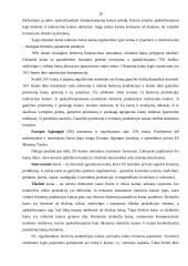 Valstybinio kainų reguliavimo įtaka rinkos pusiausvyrai 19 puslapis