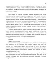 Valstybinis kreditas 13 puslapis
