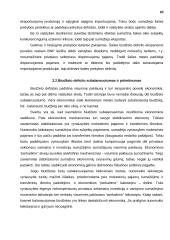 Valstybinis kreditas 19 puslapis