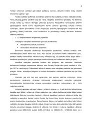 Valstybinis kreditas 4 puslapis