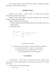 Vandenų apsauga - skaičiavimai 17 puslapis