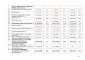 Veiklos analizė: AB "Lietuvos draudimas" 2007-2008 m. 17 puslapis