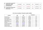 Veiklos analizė: AB "Lietuvos draudimas" 2007-2008 m. 19 puslapis
