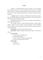 Veiklos analizė: drabužių pardavimas APB "Apranga" 2 puslapis