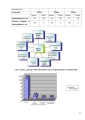 Veiklos analizė: drabužių pardavimas APB "Apranga" 10 puslapis