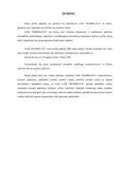 Veiklos aprašymas: UAB "Romirlita" 1 puslapis