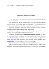 Veiklos aprašymas: UAB "Romirlita" 11 puslapis