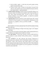 Veiklos aprašymas: UAB "Romirlita" 13 puslapis