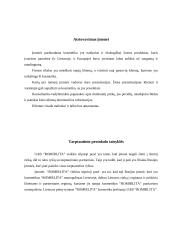 Veiklos aprašymas: UAB "Romirlita" 14 puslapis