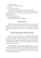 Veiklos aprašymas: UAB "Romirlita" 3 puslapis
