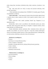 Veiklos aprašymas: UAB "Romirlita" 5 puslapis