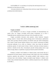 Veiklos aprašymas: UAB "Romirlita" 6 puslapis