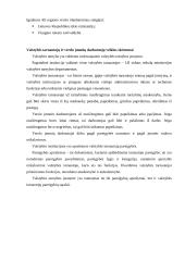 Veiklos aprašymas: UAB "Romirlita" 8 puslapis