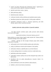 Veiklos audito standartai 11 puslapis