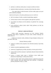 Veiklos audito standartai 12 puslapis