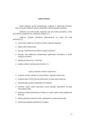 Veiklos audito standartai 13 puslapis