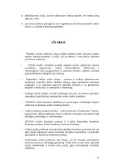 Veiklos audito standartai 17 puslapis