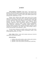 Veiklos audito standartai 3 puslapis