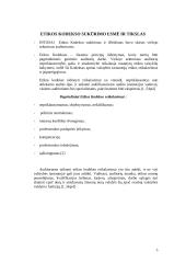 Veiklos audito standartai 5 puslapis