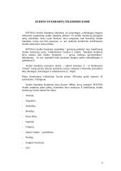 Veiklos audito standartai 6 puslapis