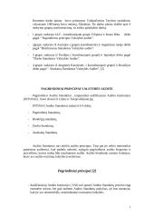 Veiklos audito standartai 7 puslapis