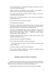 Veiklos audito standartai 8 puslapis