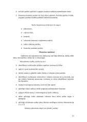 Veiklos audito standartai 10 puslapis