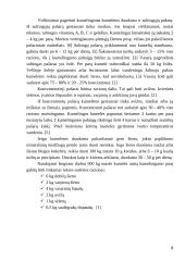 Veislinių kumelių šėrimas 8 puslapis