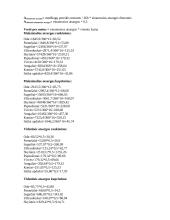 Verslo ekonomika: rankinių ir kuprinių siuvimas UAB "Karolis" 12 puslapis