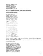 Verslo ekonomika: rankinių ir kuprinių siuvimas UAB "Karolis" 13 puslapis